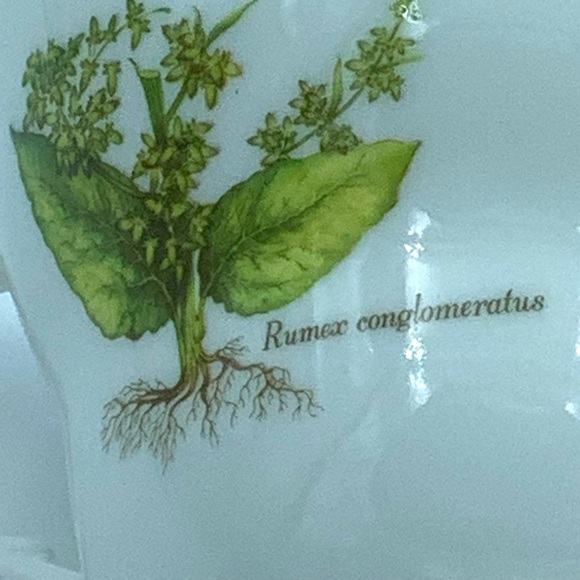 Two Duchess English Bone China Teacups & Saucers - Picture 12 of 14